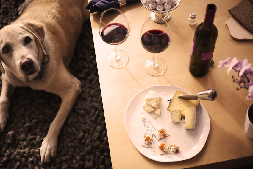 Romantic dinner for 2 people and their dog