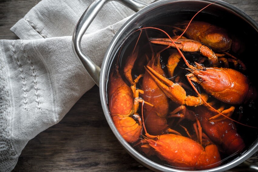 Pile of lobsters cooked in a pot