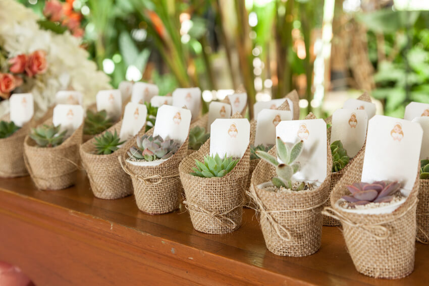 edible wedding favors beach