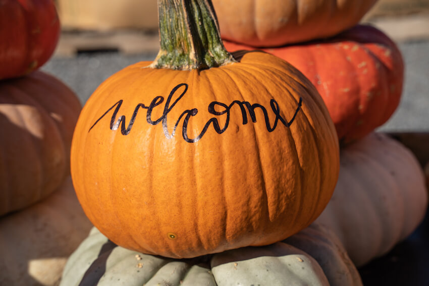 Pumpkin baby shower: welcome written on a pumpkin