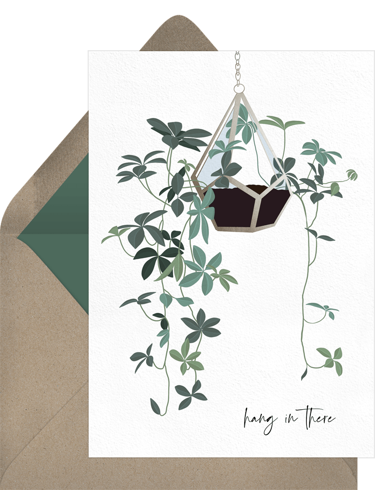 Hanging Plant Cards Greenvelope Com